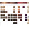 SCHWARZKOPF IGORA ROYAL CORE | איגורה רויאל קור צבע לשיער שוורצקופף | 60 מ"ל